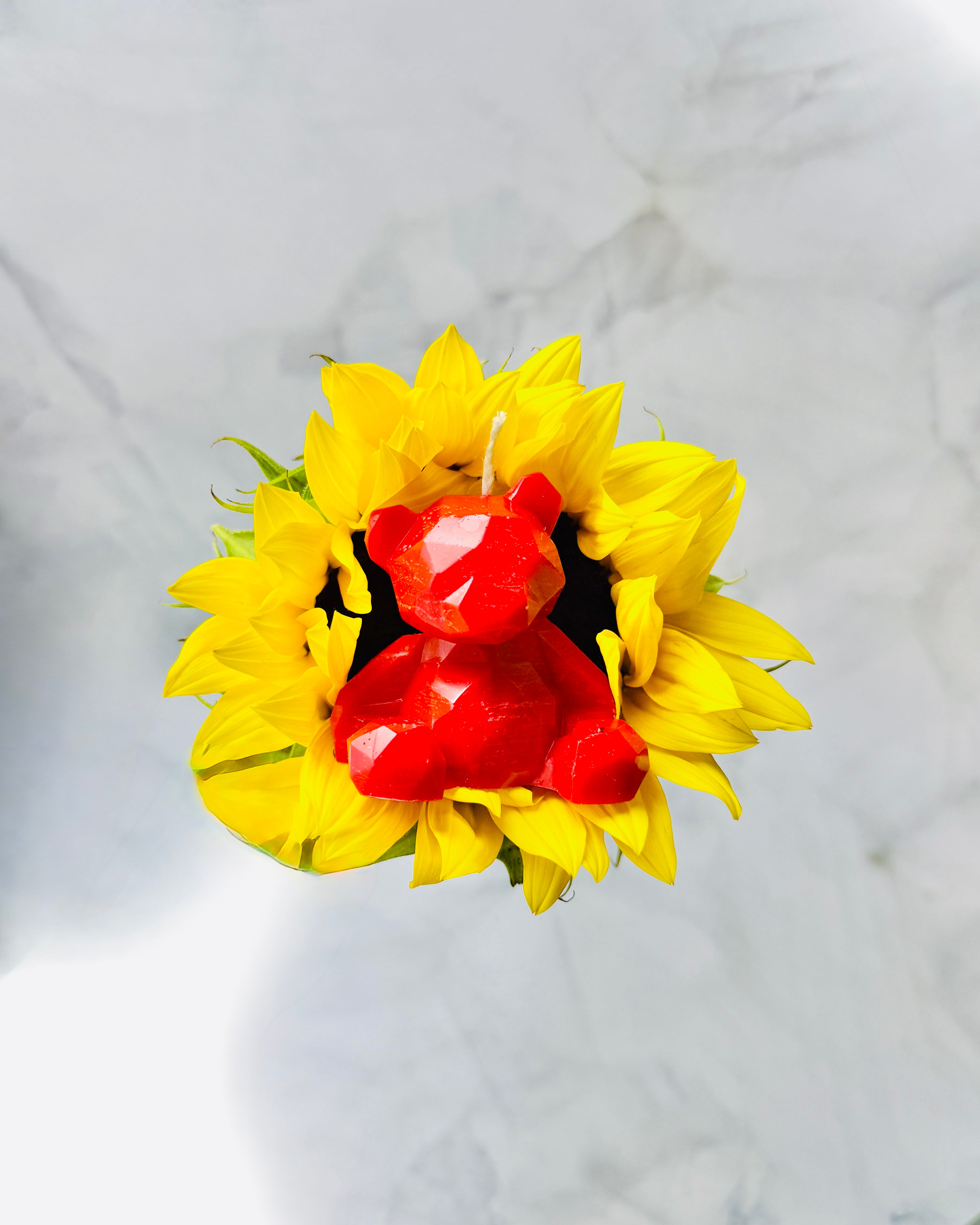 Love Bear Valentines Day Candle (Scented)