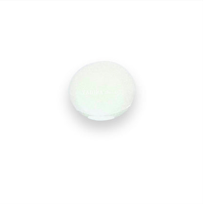 Coconut Shimmer Body Oil