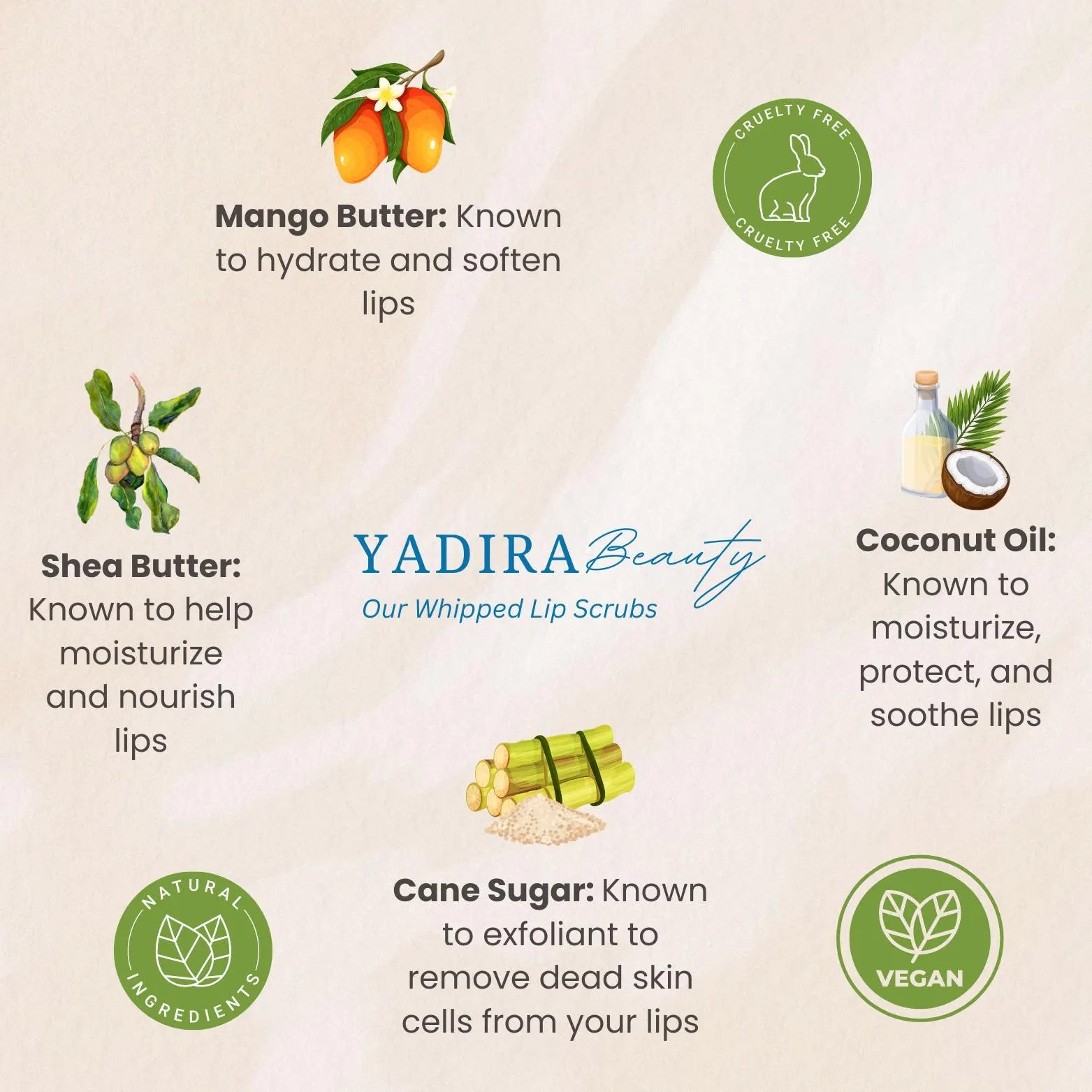 Horchata Whipped Lip Scrub