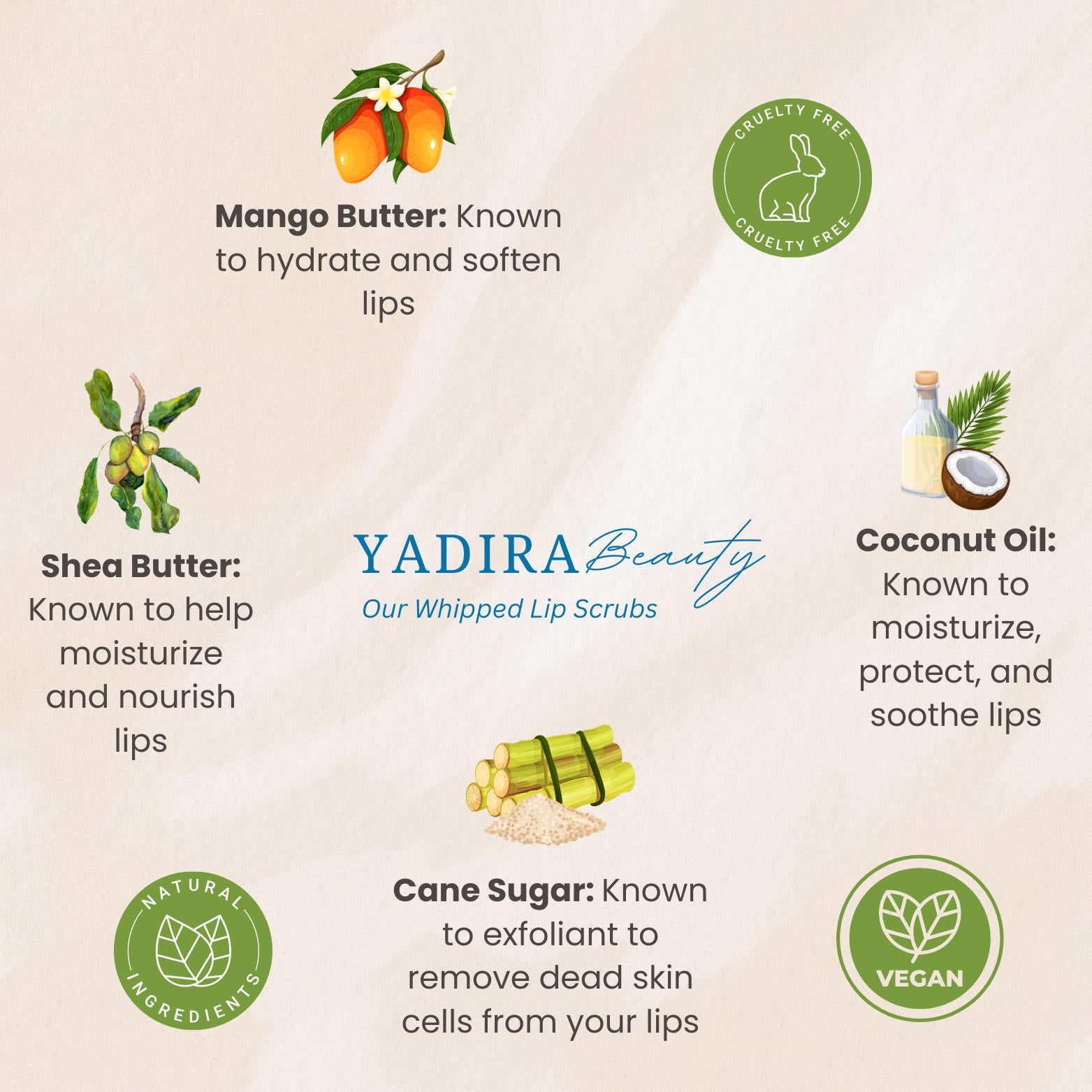 Cafè Latte Whipped Lip Scrub